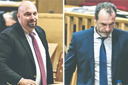 panagiotaros - mixos - xrysi augi